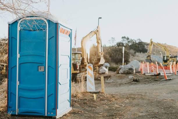 Best Sanitation services for porta potties  in Lapel, IN